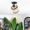 Ramila Lampa sufitowa, Spot sufitowy Czarny, 1-punktowy