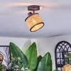 Ramila Lampa sufitowa, Spot sufitowy Czarny, 1-punktowy