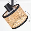 Ramila Lampa sufitowa, Spot sufitowy Czarny, 1-punktowy