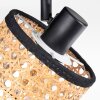 Ramila Lampa sufitowa, Spot sufitowy Czarny, 1-punktowy