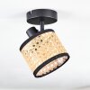 Ramila Lampa sufitowa, Spot sufitowy Czarny, 1-punktowy