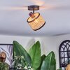 Ramila Lampa sufitowa, Spot sufitowy Czarny, 1-punktowy