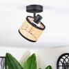 Ramila Lampa sufitowa, Spot sufitowy Czarny, 1-punktowy
