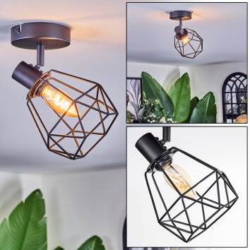 Yaak Lampa sufitowa, Spot sufitowy Czarny, 1-punktowy