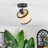 Chellas Lampa sufitowa, Spot sufitowy Czarny, 1-punktowy