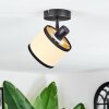 Chellas Lampa sufitowa, Spot sufitowy Czarny, 1-punktowy