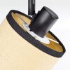 Chellas Lampa sufitowa, Spot sufitowy Czarny, 1-punktowy