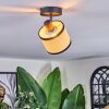 Chellas Lampa sufitowa, Spot sufitowy Czarny, 1-punktowy