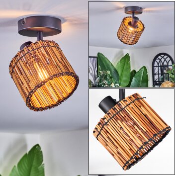 Cando Lampa sufitowa, Spot sufitowy Czarny, 1-punktowy