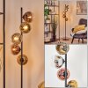 Koyoto kula świetlna, lampa stojąca 33 cm złoty, przezroczysty, miedziany, przydymiony, 5-punktowe