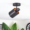 Fallhagen Lampa sufitowa, Spot sufitowy Czarny, 1-punktowy