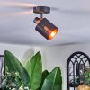 Fallhagen Lampa sufitowa, Spot sufitowy Czarny, 1-punktowy