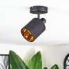 Fallhagen Lampa sufitowa, Spot sufitowy Czarny, 1-punktowy