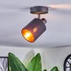 Fallhagen Lampa sufitowa, Spot sufitowy Czarny, 1-punktowy