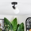 Fallhagen Lampa sufitowa, Spot sufitowy Czarny, 1-punktowy