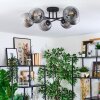 Koyoto lampa sufitowa, kula świetlna 59 cm przezroczysty, przydymiony, 6-punktowe