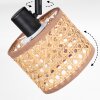 Barcos Lampa sufitowa, Spot sufitowy Czarny, 2-punktowe