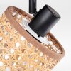 Barcos Lampa sufitowa, Spot sufitowy Czarny, 2-punktowe