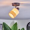 Fallhagen Lampa sufitowa, Spot sufitowy Czarny, 1-punktowy