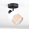 Fallhagen Lampa sufitowa, Spot sufitowy Czarny, 1-punktowy