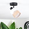 Fallhagen Lampa sufitowa, Spot sufitowy Czarny, 1-punktowy