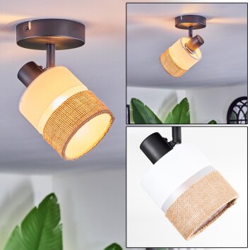 Fallhagen Lampa sufitowa, Spot sufitowy Czarny, 1-punktowy