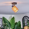 Kinnared Lampa sufitowa, Spot sufitowy Czarny, 1-punktowy