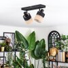 Fallhagen Lampa sufitowa, Spot sufitowy Czarny, 2-punktowe