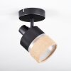 Fallhagen Lampa sufitowa, Spot sufitowy Czarny, 1-punktowy
