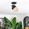 Fallhagen Lampa sufitowa, Spot sufitowy Czarny, 1-punktowy