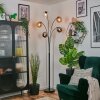 Koyoto kula świetlna, lampa stojąca bursztynowy, chrom, przezroczysty, przydymiony, 5-punktowe