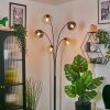 Koyoto Kula świetlna, Lampa stojąca W kolorze bursztynu, Przezroczysty, Przydymiony, 5-punktowe