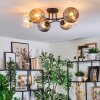 Ripoll lampa sufitowa, kula świetlna bursztynowy, przezroczysty, przydymiony, 6-punktowe