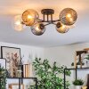 Ripoll lampa sufitowa, kula świetlna bursztynowy, przezroczysty, przydymiony, 6-punktowe