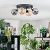 Chehalis lampa sufitowa, kula świetlna bursztynowy, przydymiony, 4-punktowe