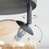 Chehalis lampa sufitowa, kula świetlna bursztynowy, 4-punktowe