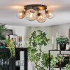 Chehalis lampa sufitowa, kula świetlna bursztynowy, przezroczysty, 4-punktowe