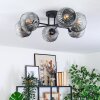 Ripoll lampa sufitowa, kula świetlna przezroczysty, przydymiony, 6-punktowe