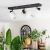 Fallhagen lampa sufitowa, spot sufitowy czarny, 3-punktowe