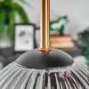 Ripoll lampa sufitowa, kula świetlna złoty, czarny, 5-punktowe