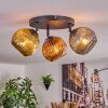 Ripoll lampa sufitowa, kula świetlna złoty, miedziany, przydymiony, 3-punktowe