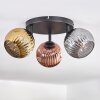 Ripoll lampa sufitowa, kula świetlna złoty, miedziany, przydymiony, 3-punktowe
