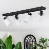 Fallhagen Lampa sufitowa, Spot sufitowy Czarny, 4-punktowe