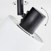 Fallhagen Lampa sufitowa, Spot sufitowy Czarny, 4-punktowe
