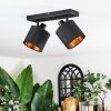 Alsen Lampa sufitowa, Spot sufitowy Czarny, 2-punktowe