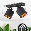 Alsen Lampa sufitowa, Spot sufitowy Czarny, 2-punktowe