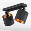 Alsen Lampa sufitowa, Spot sufitowy Czarny, 2-punktowe