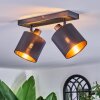 Alsen Lampa sufitowa, Spot sufitowy Czarny, 2-punktowe