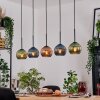 Koyoto lampa wisząca, kula świetlna, lampa wisząca kolory naturalne, czarny, 5-punktowe