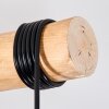 Koyoto lampa wisząca, kula świetlna, lampa wisząca kolory naturalne, czarny, 5-punktowe